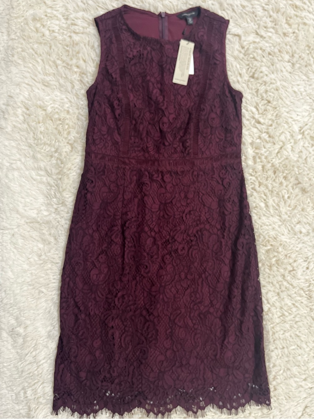 Banana Republic Lace Sheath Dress in Wine